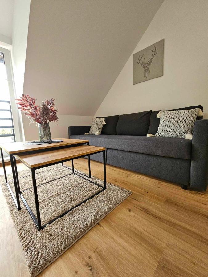 Horsky Apartman Miki Filipovice 外观 照片