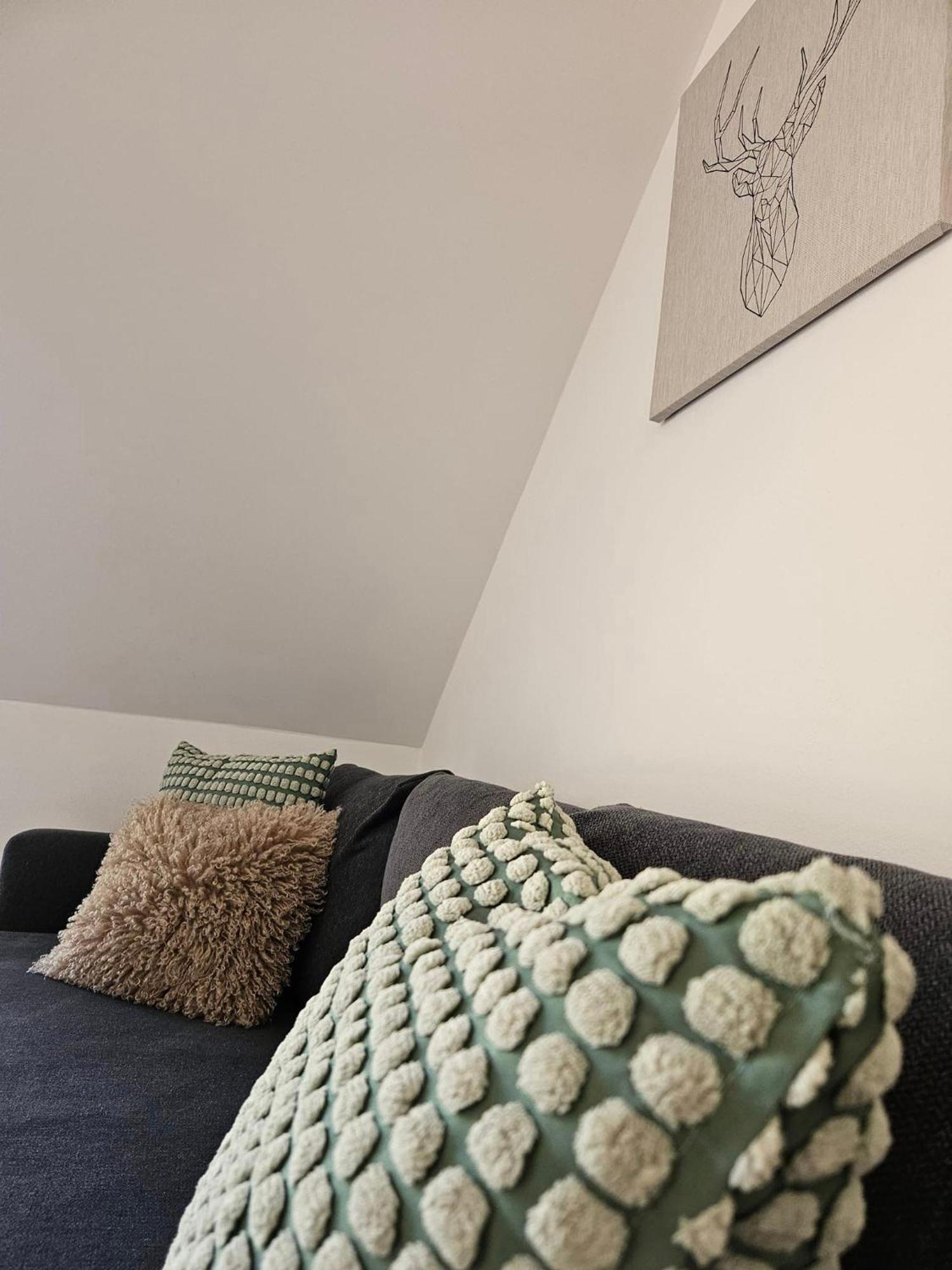 Horsky Apartman Miki Filipovice 外观 照片