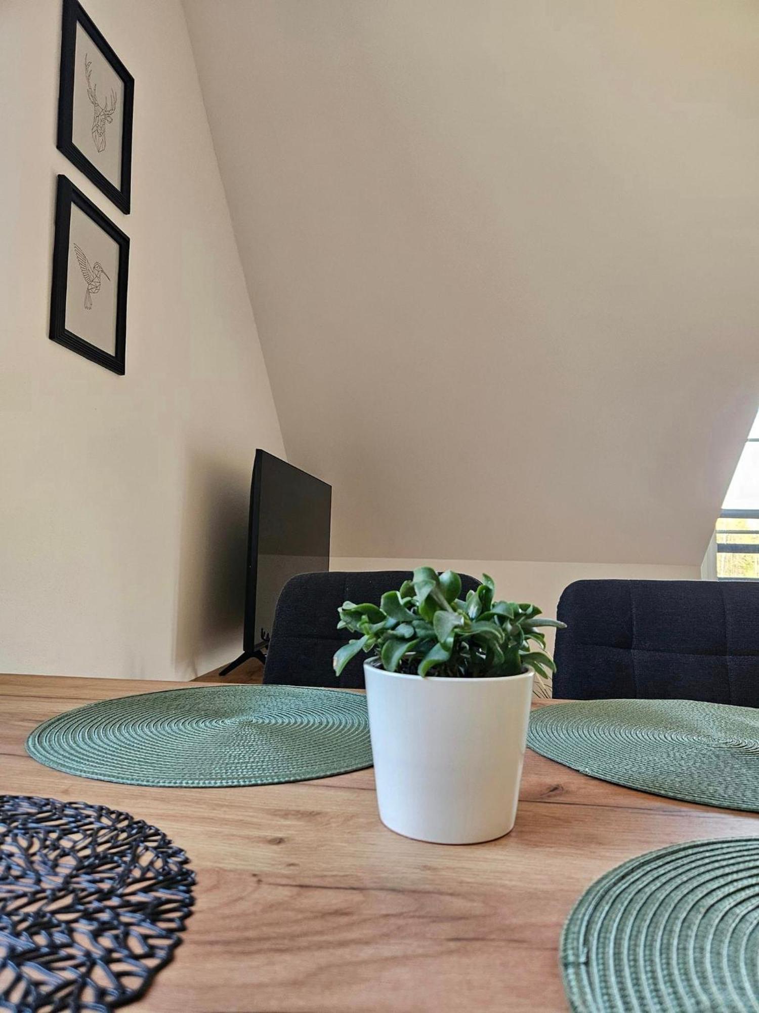 Horsky Apartman Miki Filipovice 外观 照片